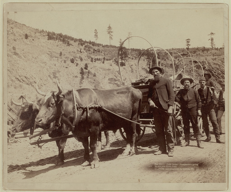 Illustration for article titled Gold Mining